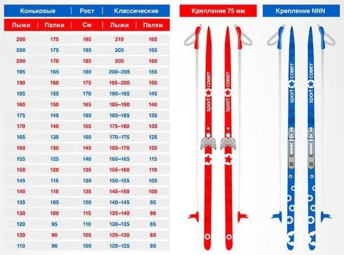 Рейтинг лучших палок для беговых лыж на 2022 год Рекомендации по выбору лыжных палок Как определить длину палки