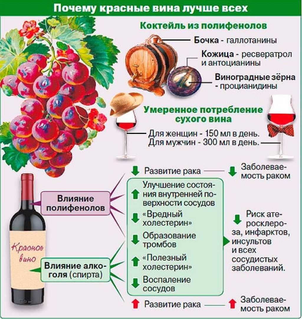 Как влияет на организма безалкогольное белое и красное вино - продукталко