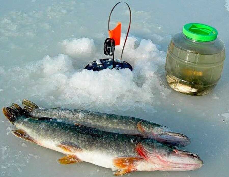 Рейтинг лучших жерлиц для зимней рыбалки на 2022 год
