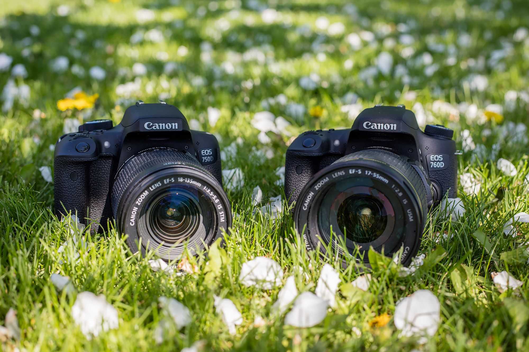 Какой фотоаппарат для начинающих лучше купить? рейтинг, советы