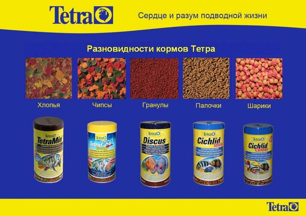 Топ-7 лучших корма для овчарок – рейтинг 2022 года