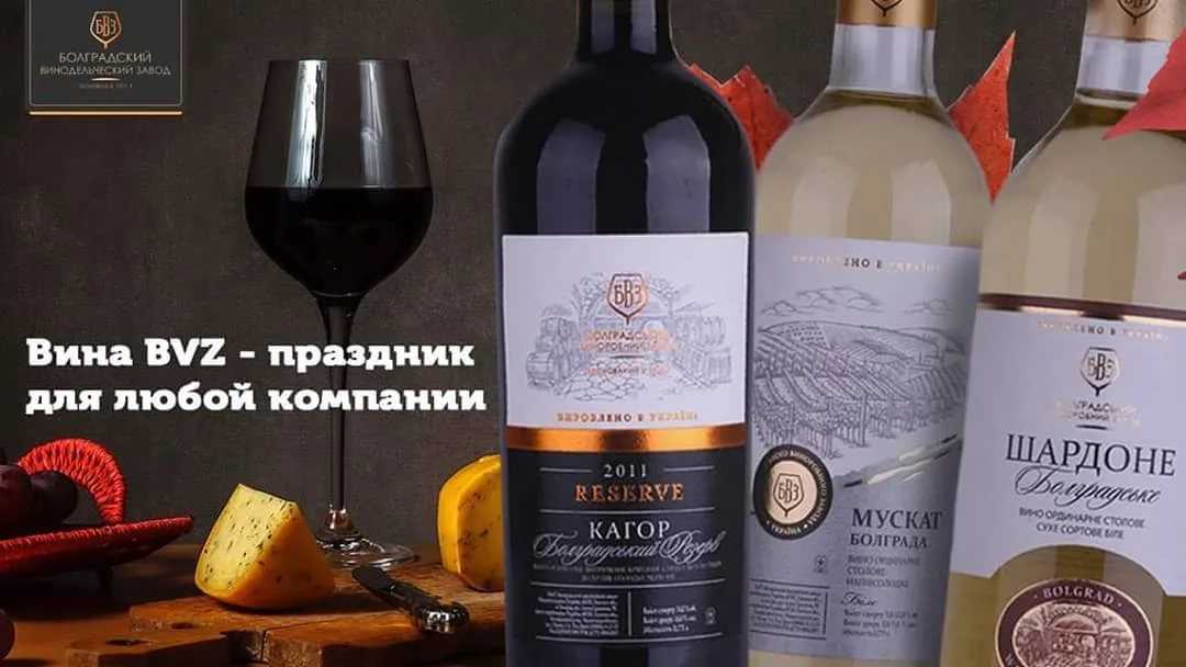 Рейтинг шампанского 2022 в россии — лучшее игристое вино по качеству и цене
