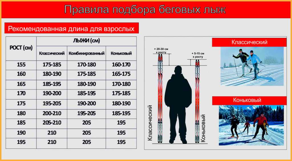 Как выбрать лыжи? инструкция для начинающих — training365.ru