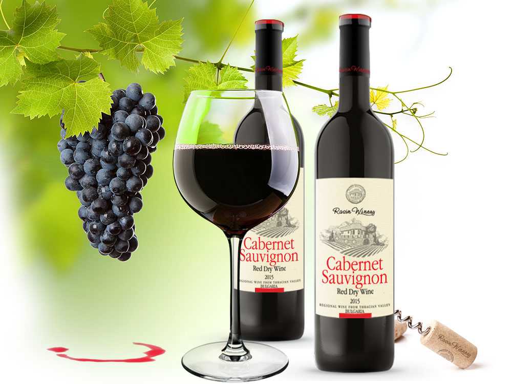 Сорта винограда для вина: характеристика, названия и обзор лучших сортов для производства вина (140 фото)