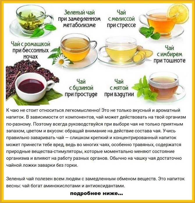 Бодрость и здоровье: рецепты тонизирующих травяных чаев