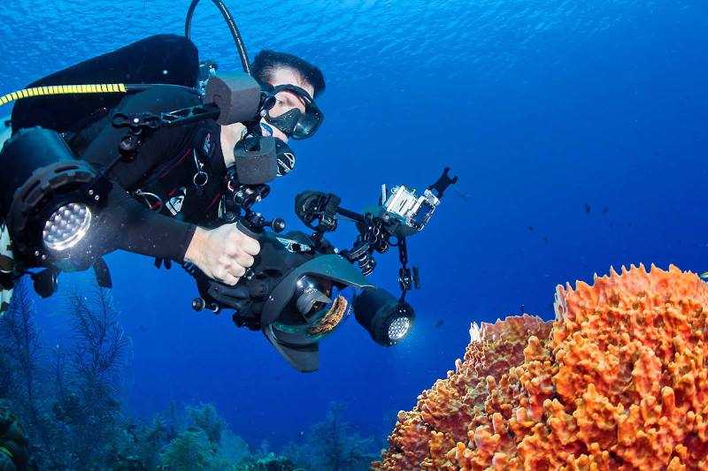 Лучшие камеры для рыбалки, топ-10 рейтинг подводных камер в 2021 году