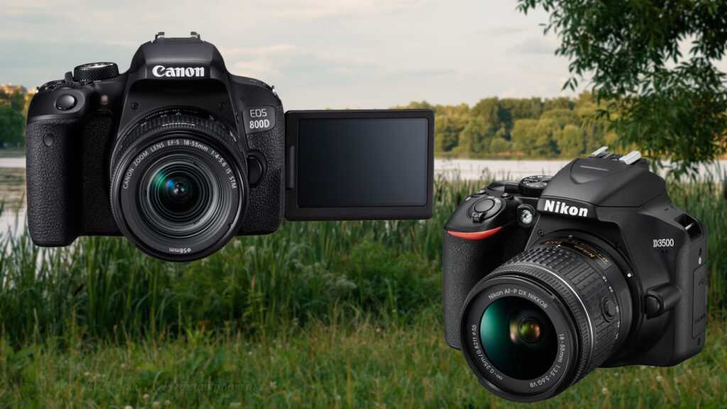 Какой фотоаппарат выбрать начинающему фотографу в 2019 году? | ichip.ru