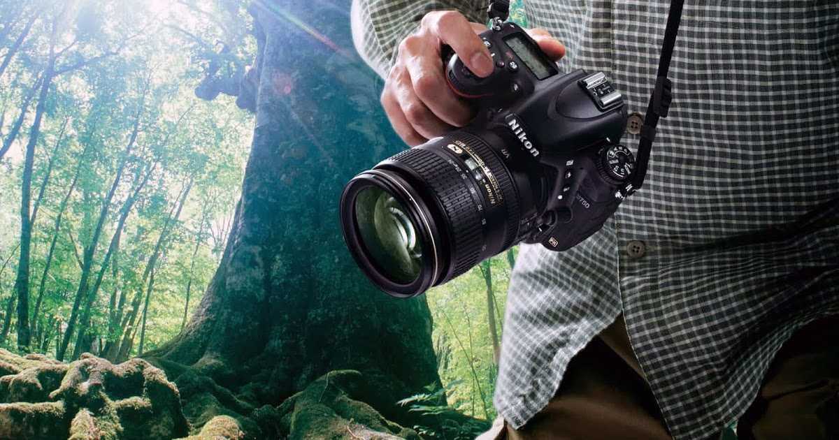 Фотоаппарат 📸 для начинающих фотографов — какой выбрать, топ-15 лучших моделей, отзывы и стоимость