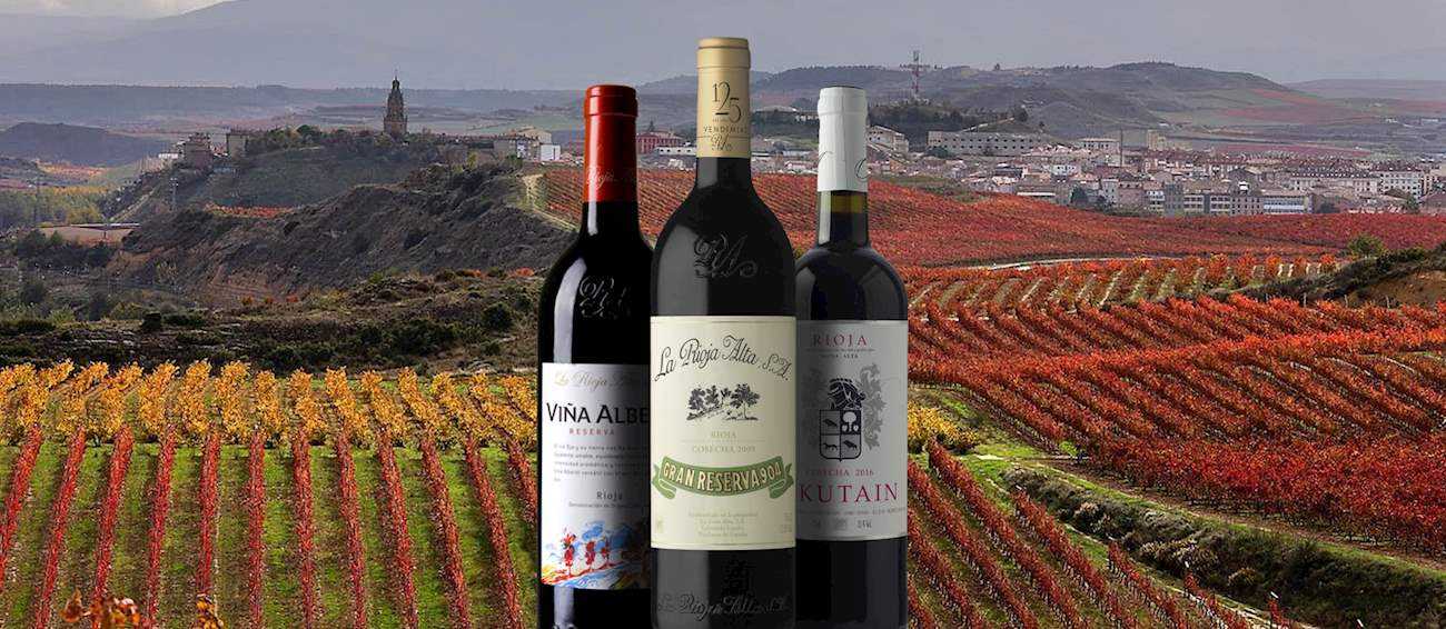 Виноделие испании: стили, сорта, классификация