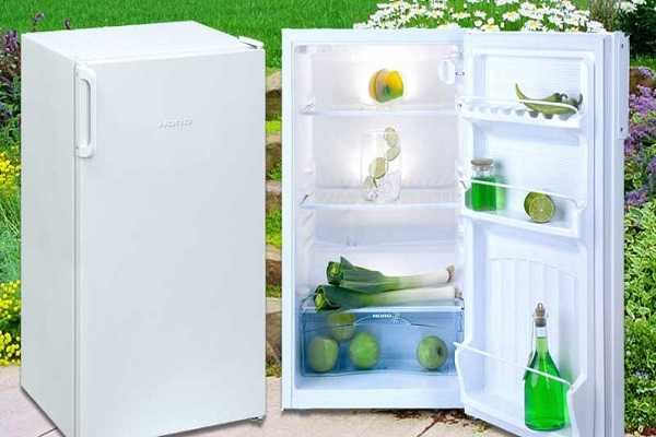 Рейтинг моделей бытовых холодильников без морозилки