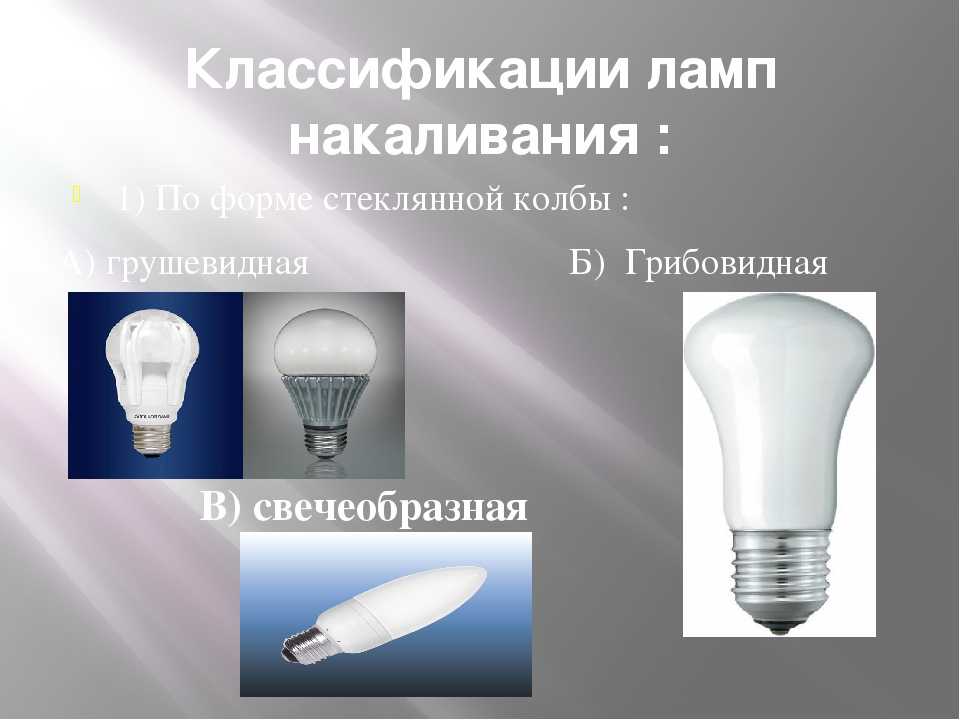 Разновидности и выбор ламп-луп
