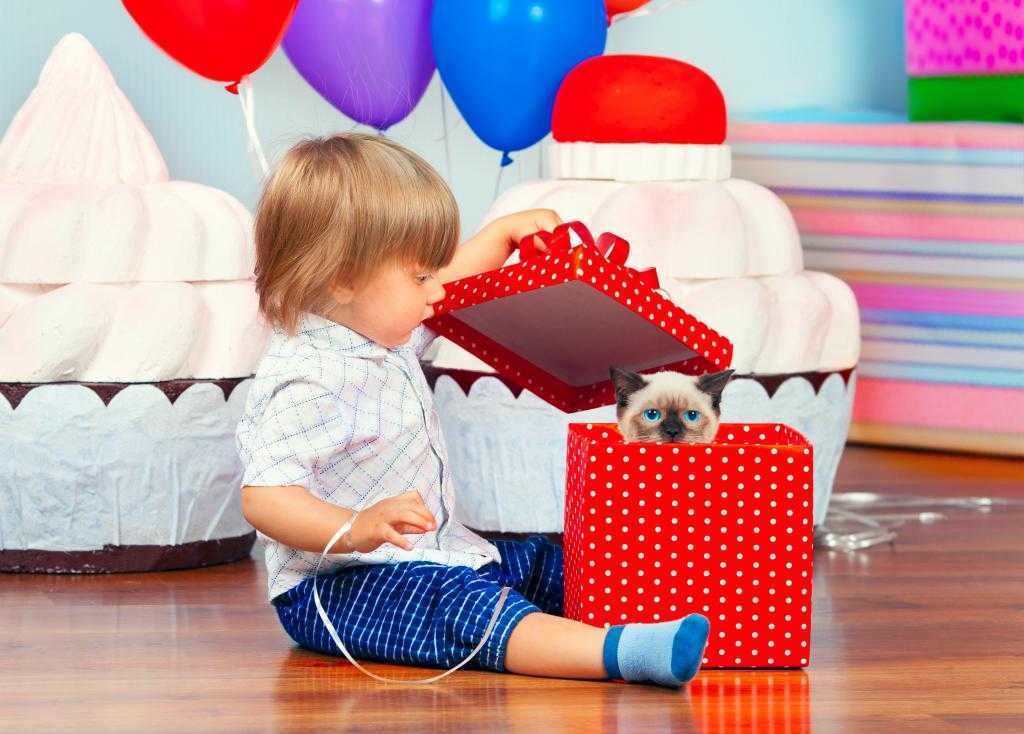 ☀ обзор вариантов, ☀ что подарить ребёнку ☀ на новый год и рождество