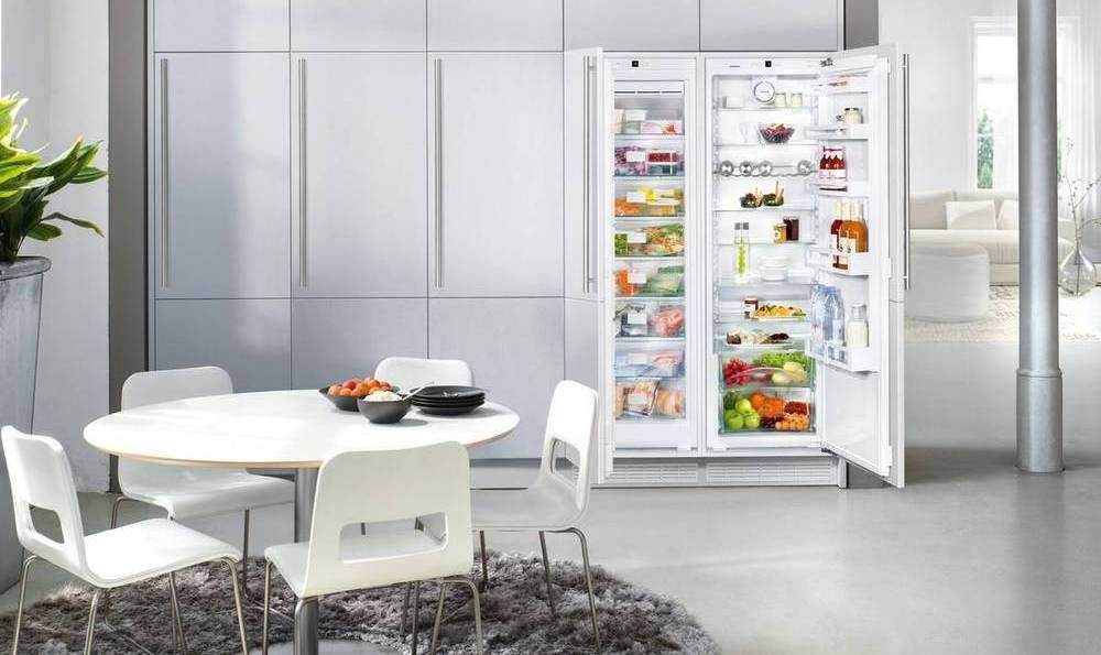 Самые вместительные холодильники