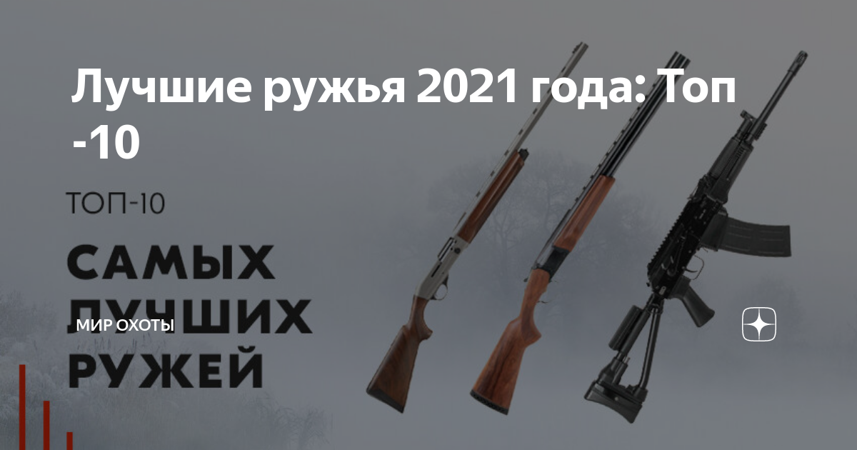 Поправки к закону "об оружии" 2021 года| промысловик.инфо