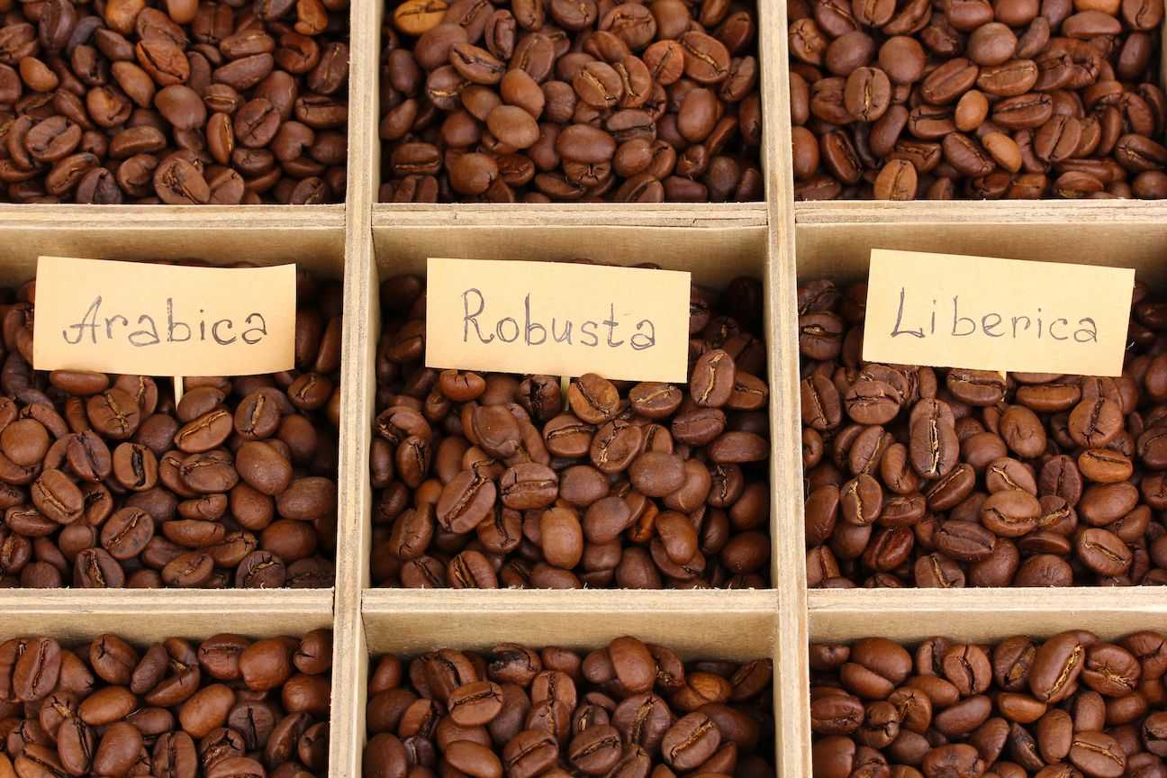 Какую арабику в зернах купитьАрабика - самый популярный сорт кофе Плантации кофейных деревьев растут на склонах гор, плоды отличаются различным вкусом в зависимости от региона выращивания
