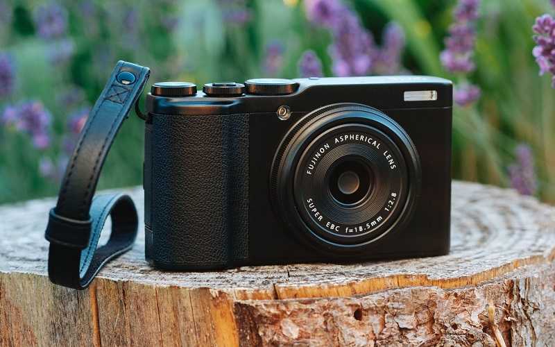 Топ-10 лучших фотоаппаратов для начинающих – рейтинг 2022 года
