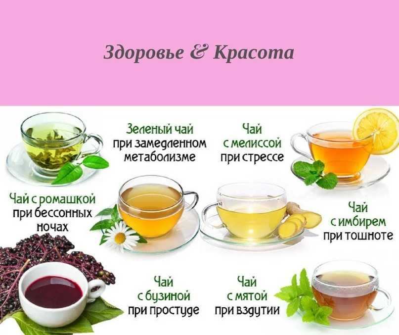 7 полезных для здоровья чаев / какие пить, чтобы лучше спать, похудеть или быть бодрее – статья из рубрики "еда и вес" на food.ru