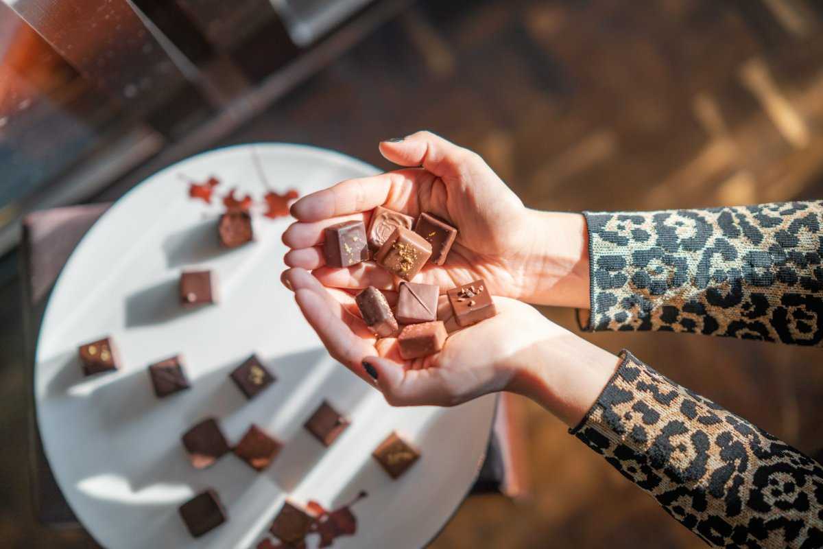 Топ известных марок горького шоколада — какой продукт самый лучший? описание состава и советы по выбору
