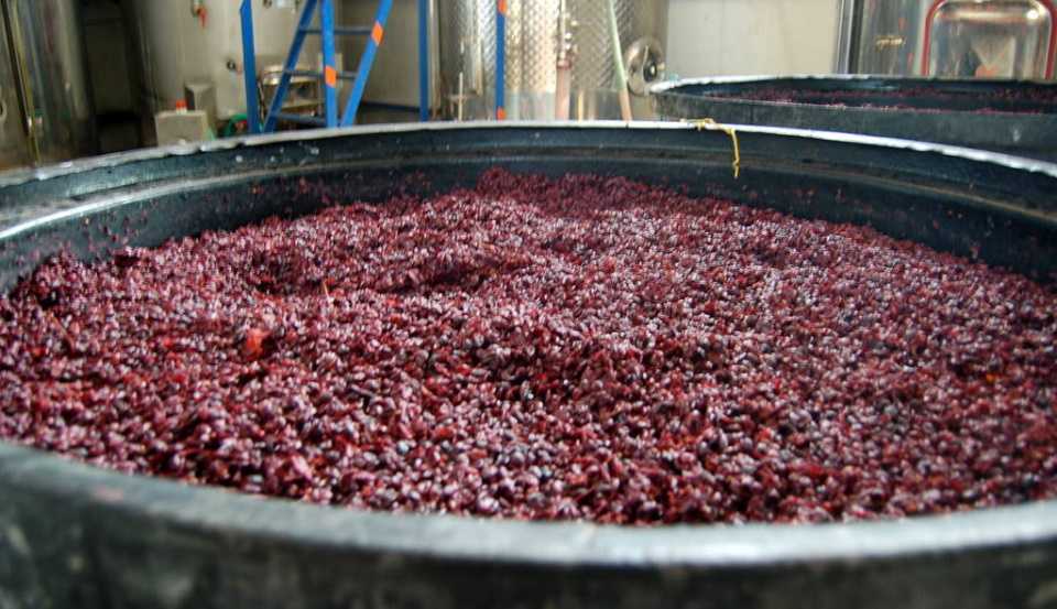 Fermentación del vino casero