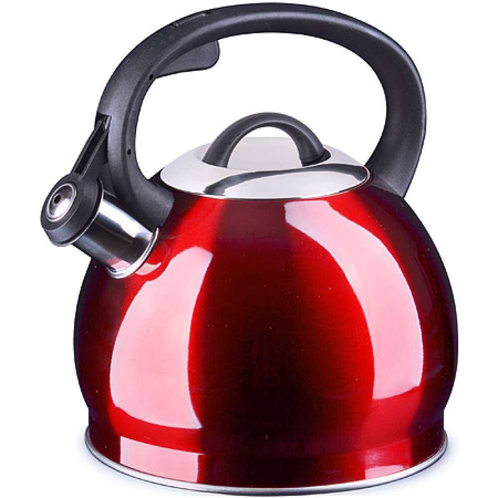 Как выбрать чайник из нержавеющей стали для газовой или электрической плиты