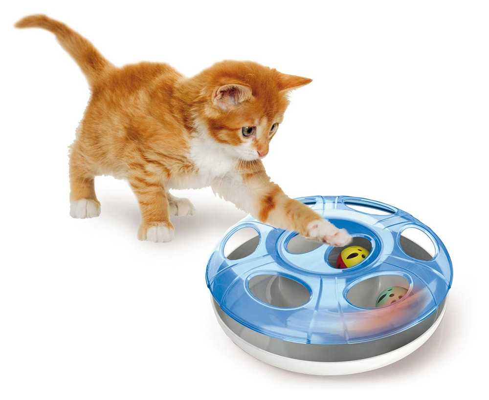 Лучшие игрушки для кошек на 2022 год Обзор производителей Виды игрушек Советы по выбору игрушек для кошек и котят