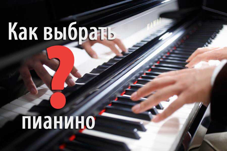 Нотная грамота для начинающих фортепиано — основные положения