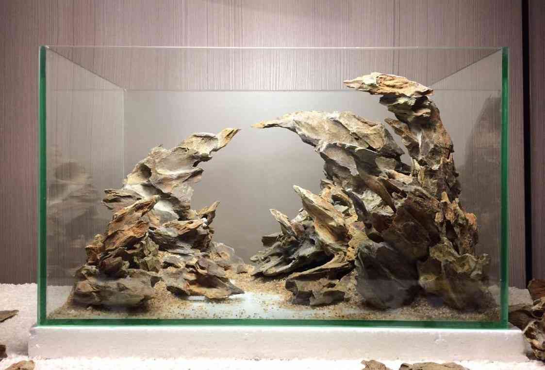 Аквариум травник — природный аквариум с живыми растениями своими руками с полезным фото-видео