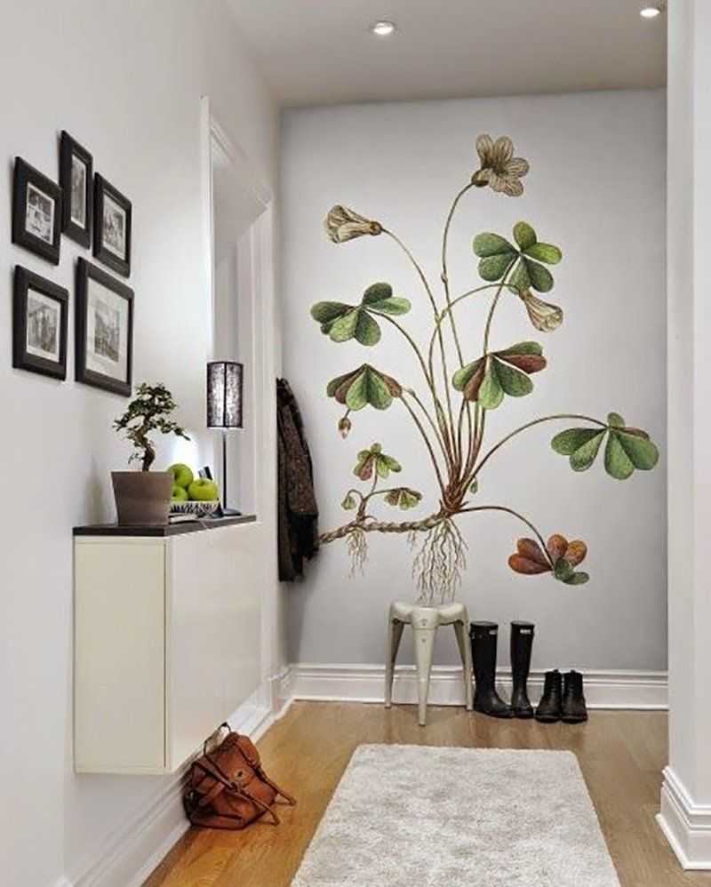 Тенелюбивые комнатные растения - названия и фото неприхотливых цветов