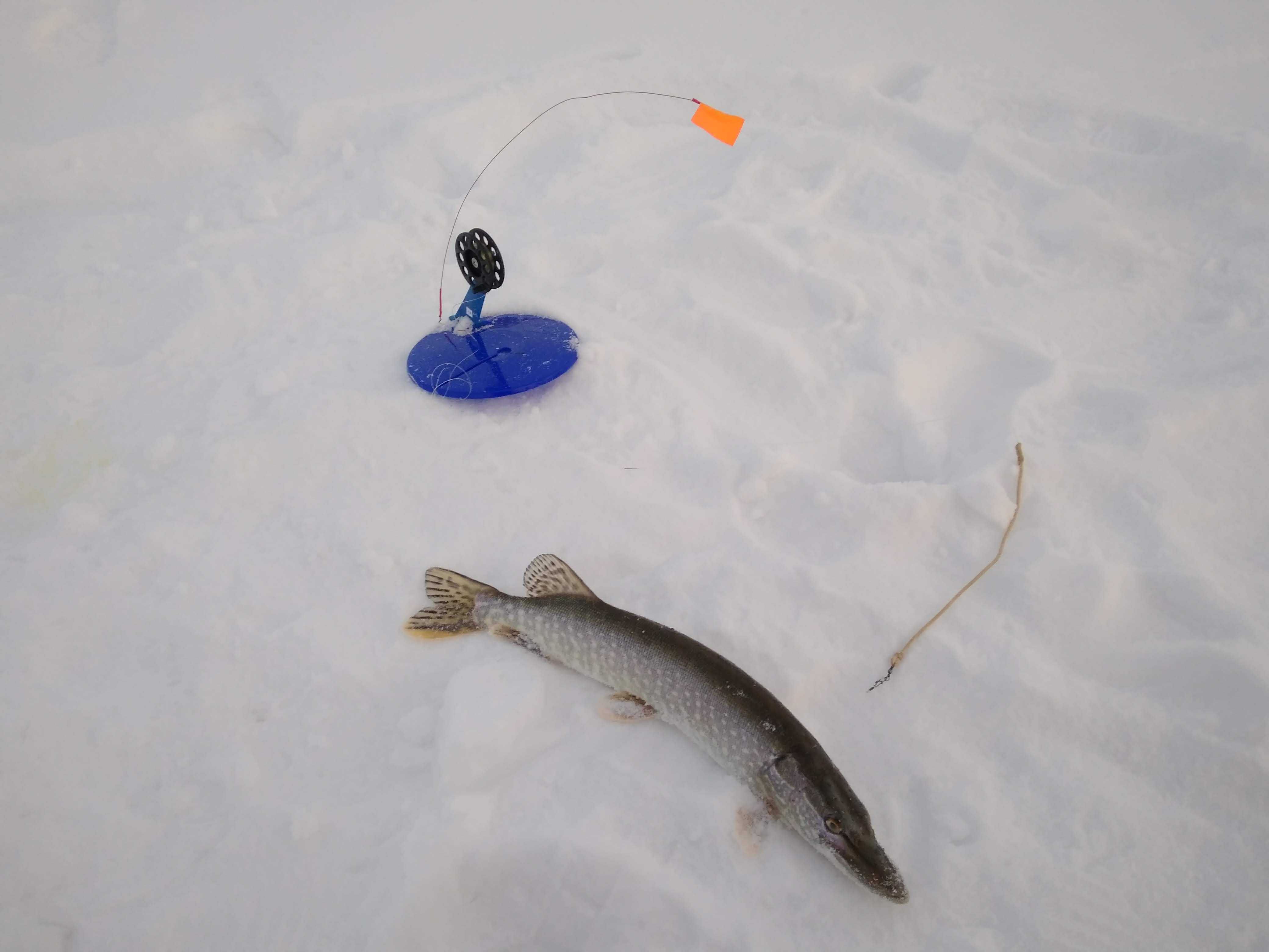 Жерлицы для зимней рыбалки: критерии выбора и изготовление
