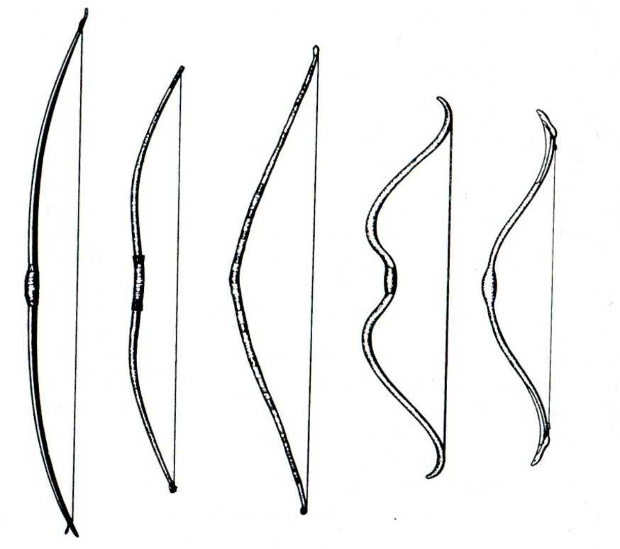 Спортивный лук для стрельбы и стрелы к нему: виды, конструкция и особенности