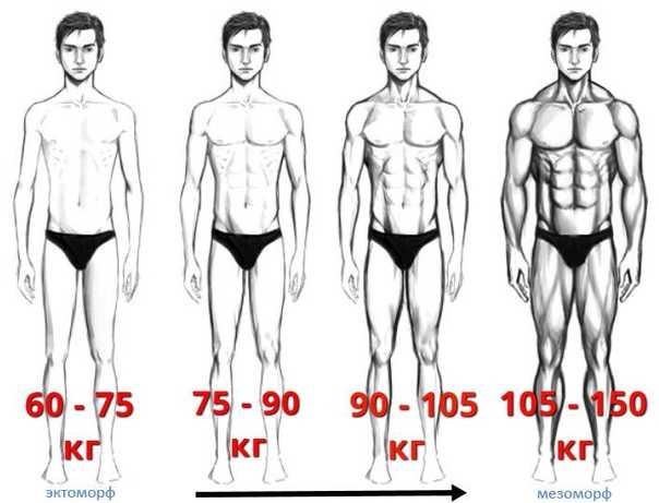 Вес мужчины 75. Эктоморф 190 рост вес 90. Эктоморф 80 кг. Эктоморф 175 рост. Эктоморф 90 кг.