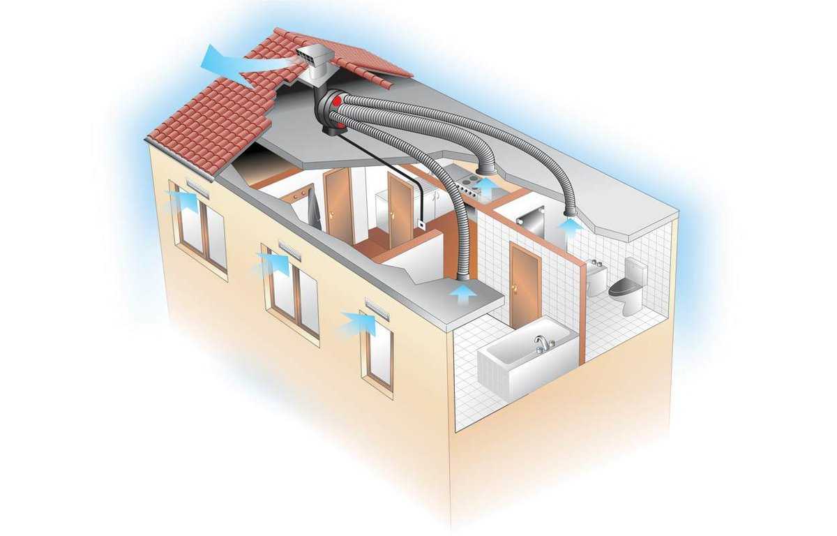 Состав систем вентиляции: вентилятор, шумоглушитель, калорифер, воздуховоды, система автоматики.