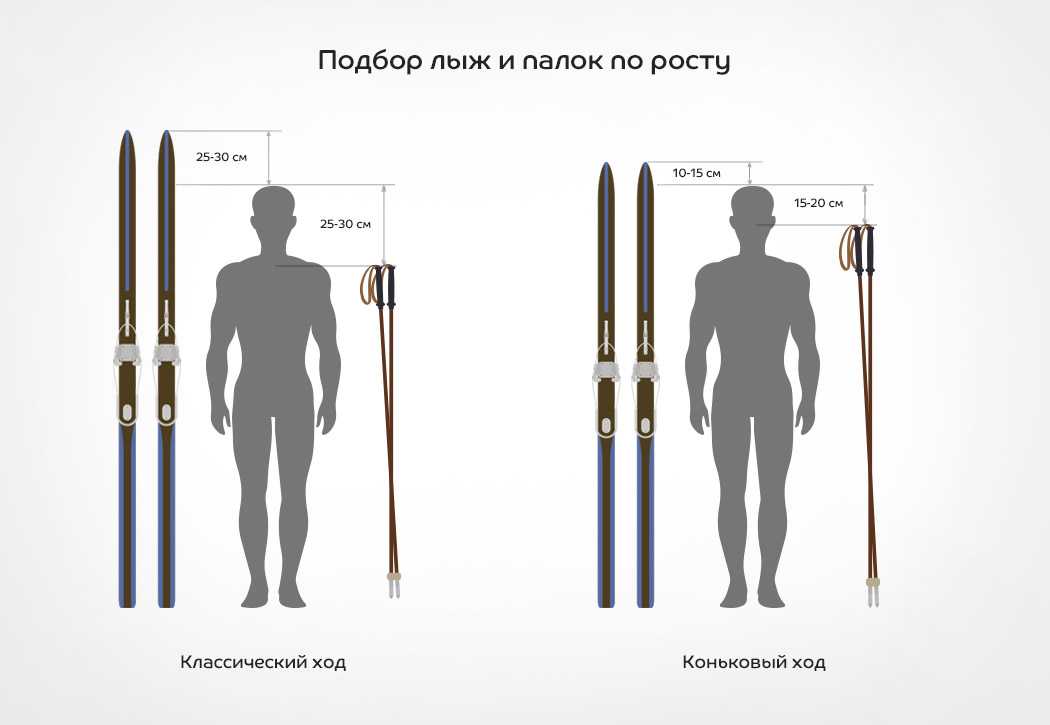 Лыжные палки — высота, длина, рост спортсмена