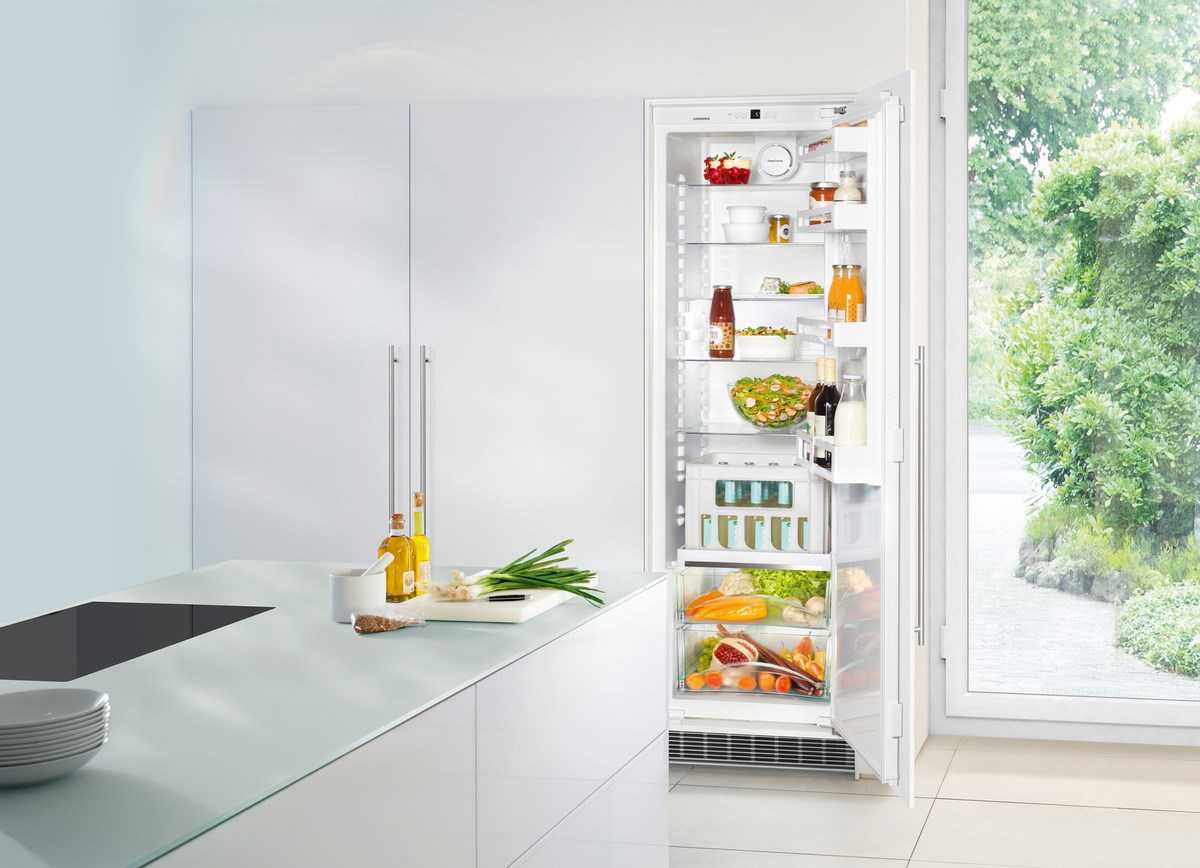 Топ 7 однокамерных холодильников без морозильной камеры: рейтинг лучших