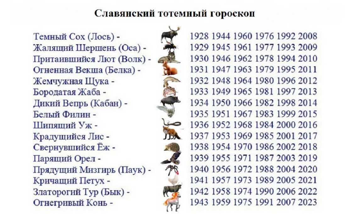 Мантышница - что это такое? как выбрать мантоварку
